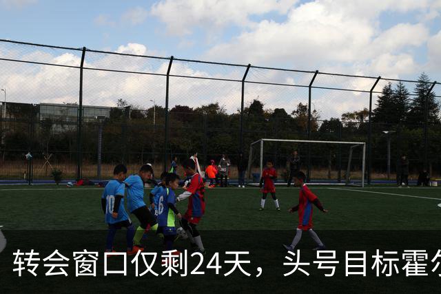 转会窗口仅剩24天，头号目标霍尔无望，曼联梳理左后卫四大引援