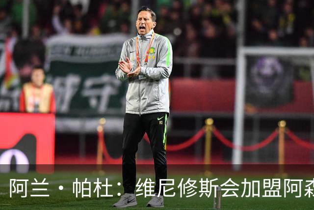 阿兰·帕杜：维尼修斯会加盟阿森纳，他能填补球队左路的空缺